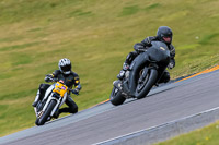 PJ-Motorsport-2019;anglesey-no-limits-trackday;anglesey-photographs;anglesey-trackday-photographs;enduro-digital-images;event-digital-images;eventdigitalimages;no-limits-trackdays;peter-wileman-photography;racing-digital-images;trac-mon;trackday-digital-images;trackday-photos;ty-croes